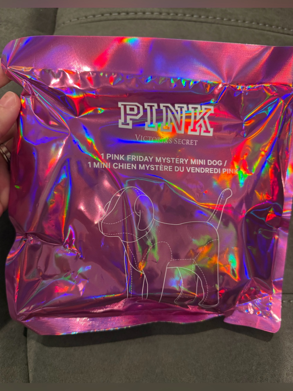 PINK Victoria's Secret Friday MYSTERY mini dog
